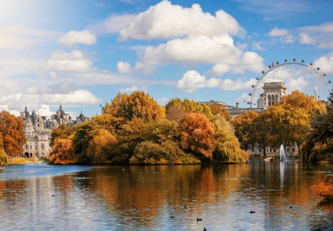 autumn_trees_leaves_london
