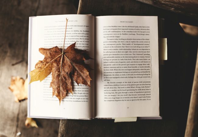 ksenia-makagonova-LuK-MuZ-yf0-unsplash