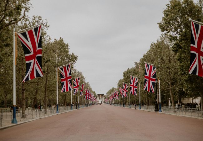 pexels-hellojoshwithers-17152061